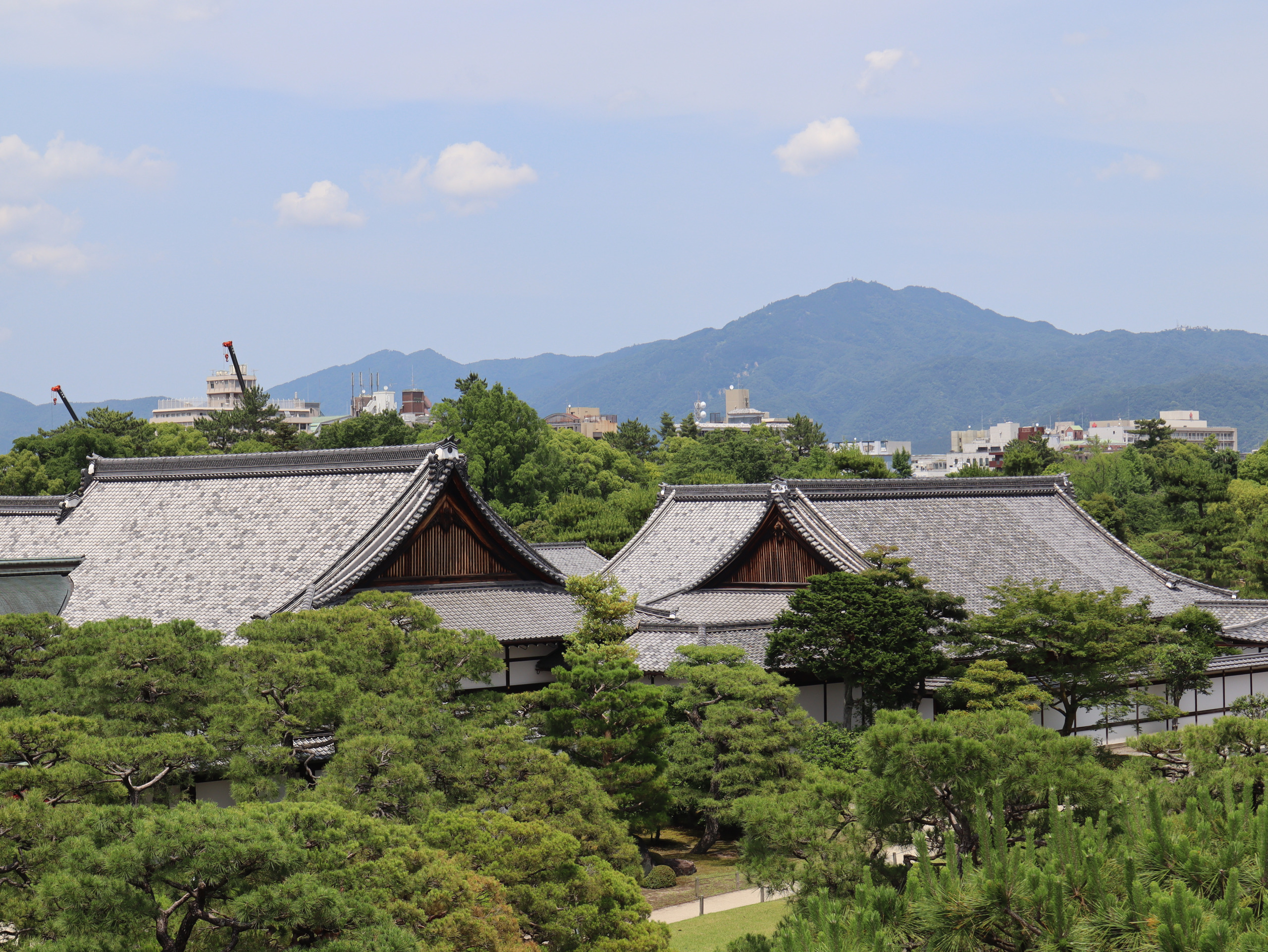 从二条城高处望见的灰瓦屋顶、庭园松树与远山