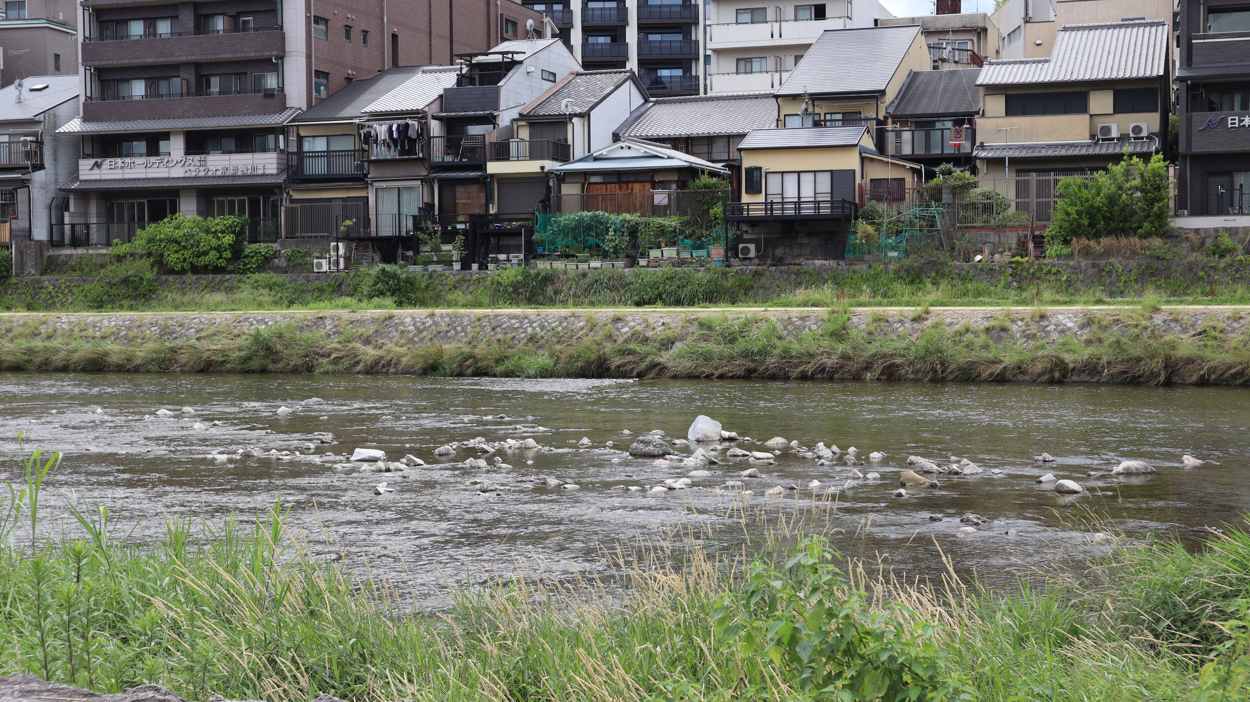 午后河边的浅水、草岸与对岸建筑