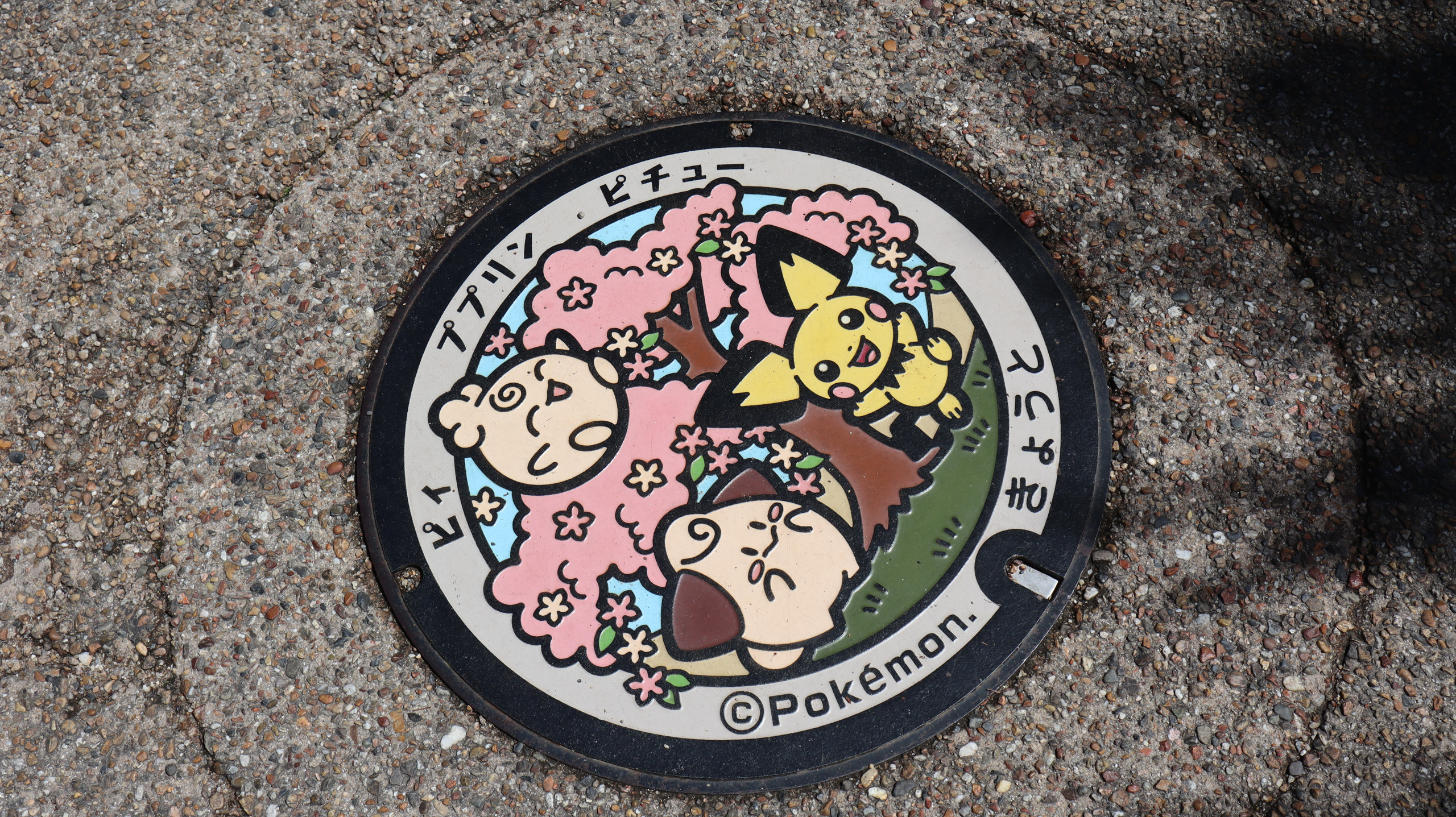 写着京都市字样的彩色宝可梦井盖
