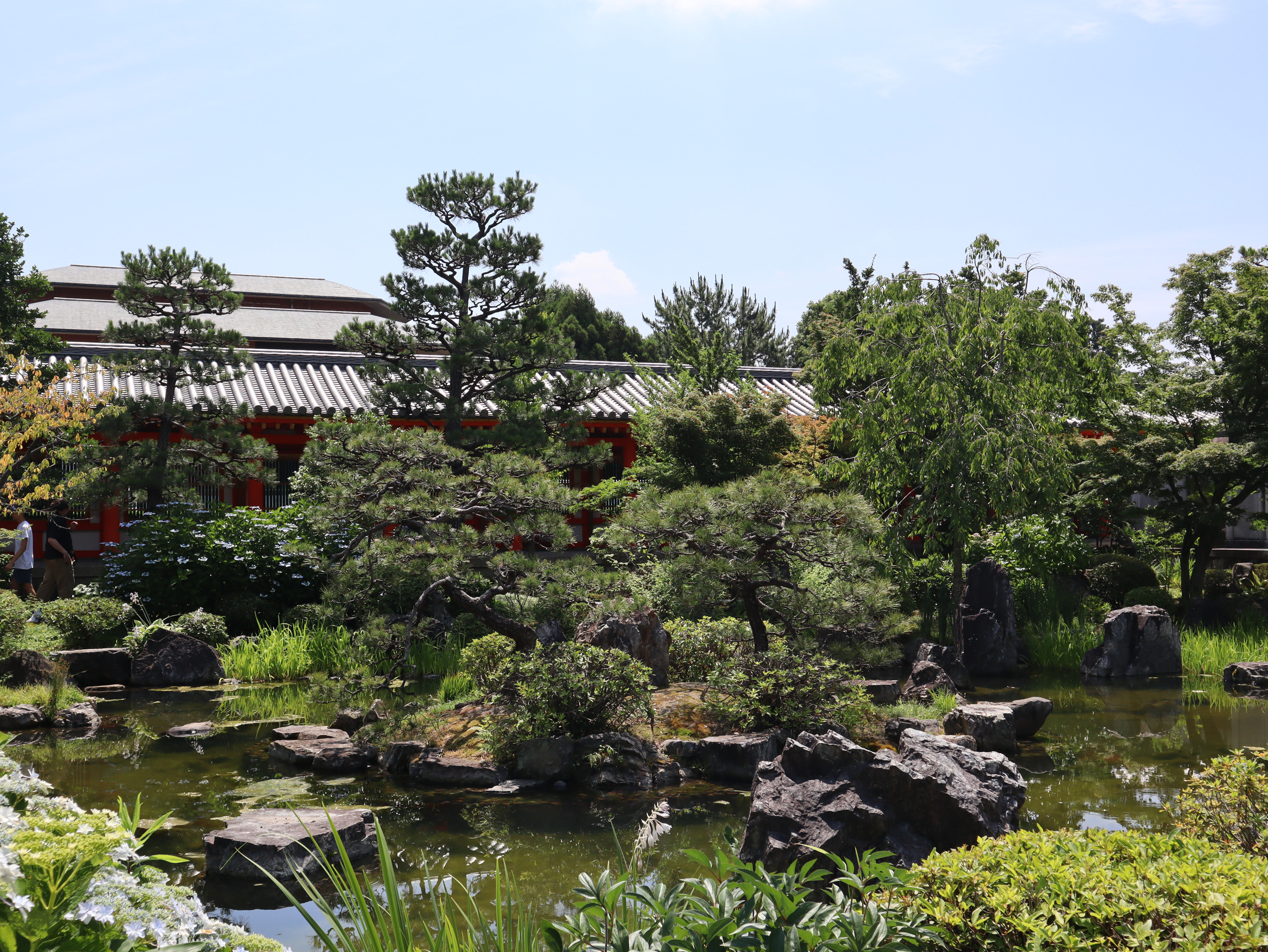 三十三间堂庭园里的池水、石头与松树，树后露出寺院瓦顶