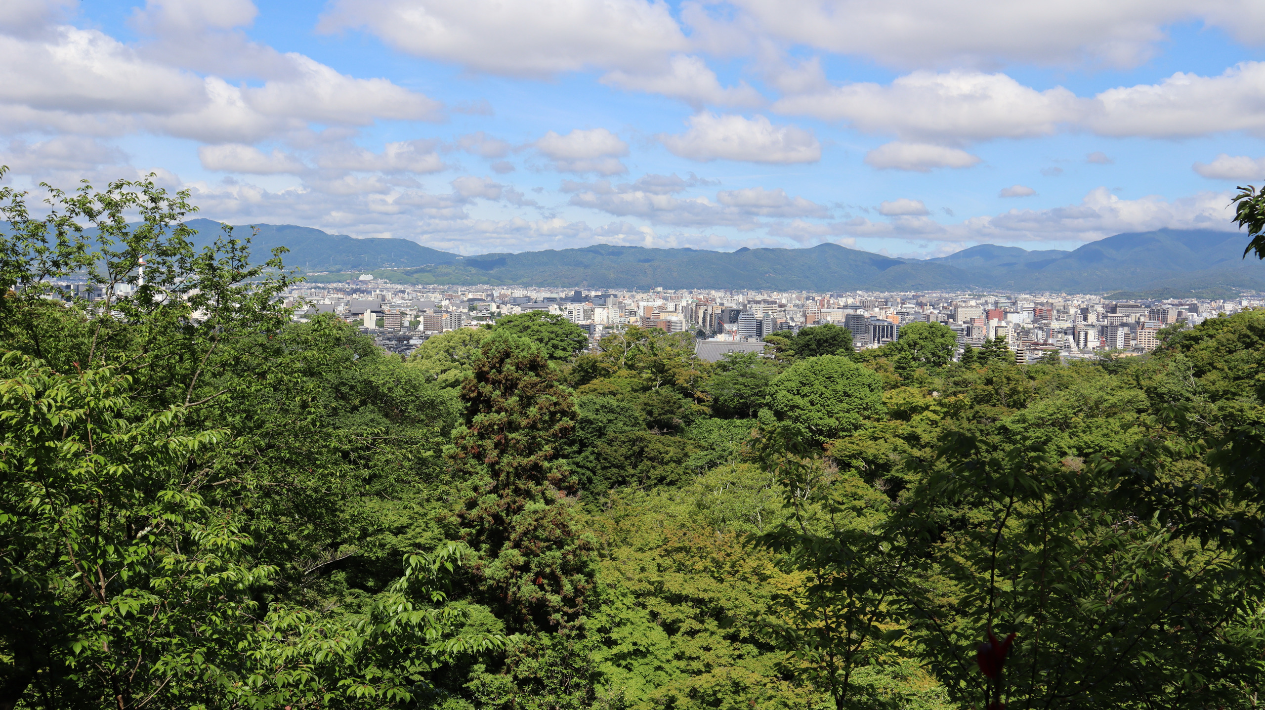 清水寺高处望见的京都市区、远山与大片绿树