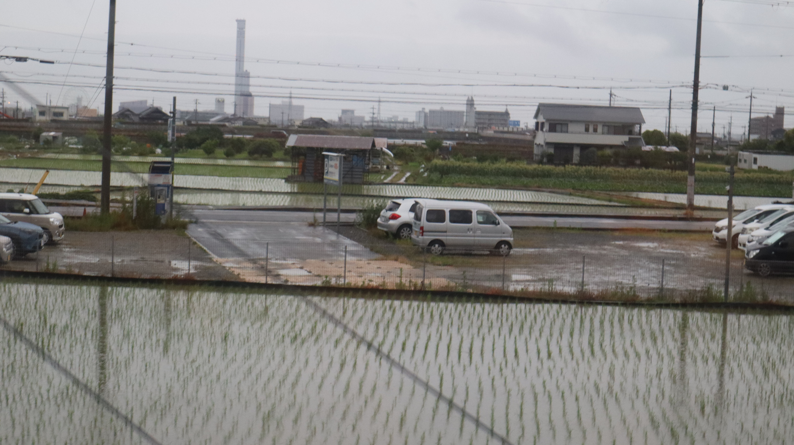 Haruka 车窗外，整齐的秧苗与积水的停车场