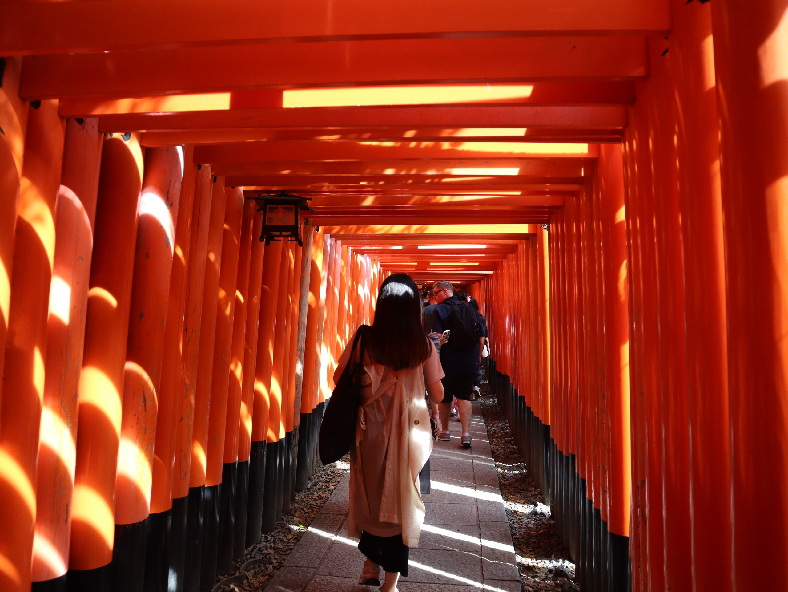 伏见稻荷层层朱红鸟居下的参道与游人
