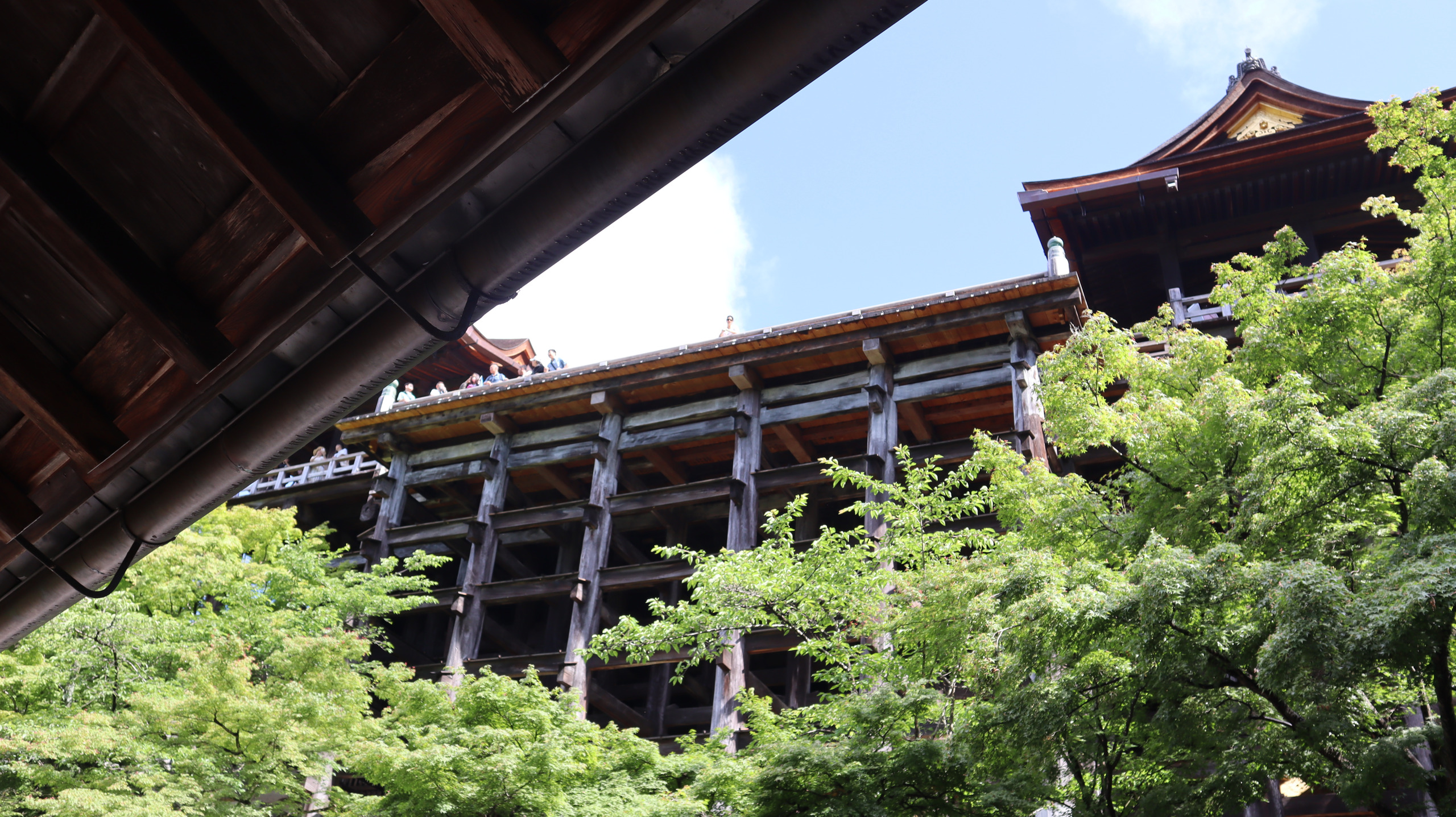 从下方仰望清水寺本堂与舞台的木构支架