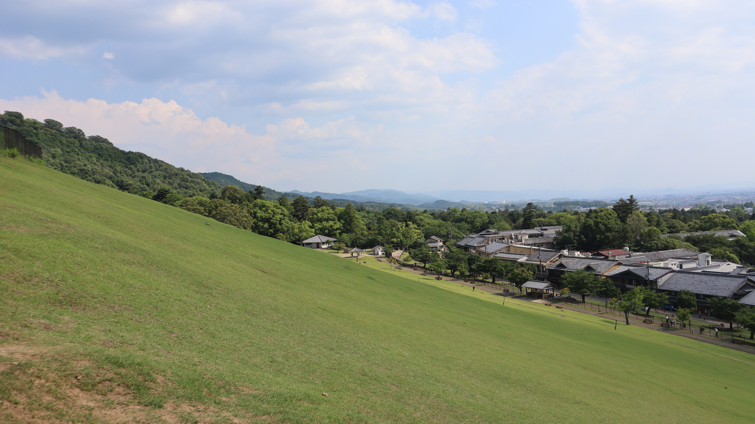 从若草山一带的草坡回望奈良,近处是绿坡,远处是树林、屋顶与市区