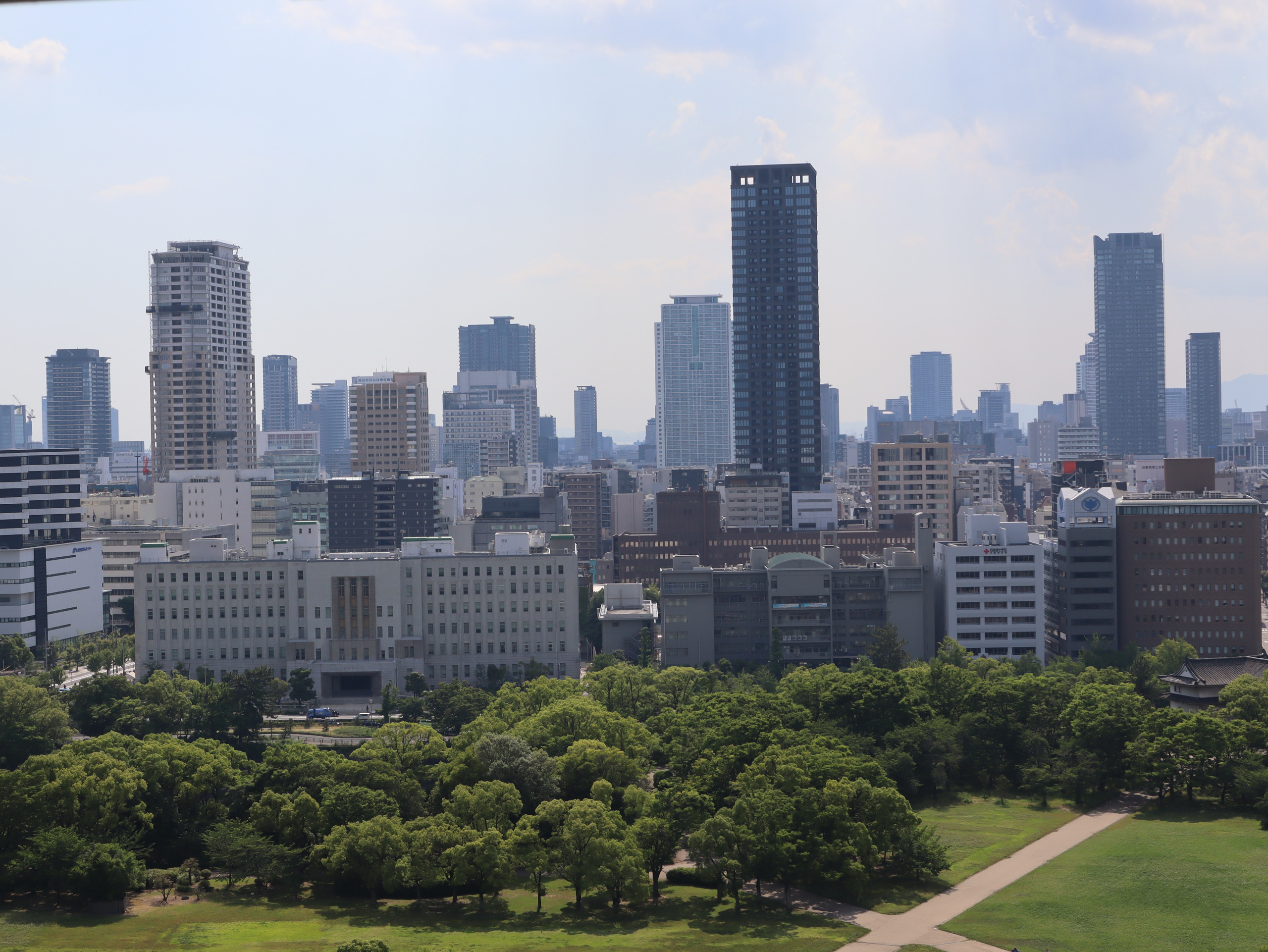从大阪城天守阁高处眺望市区,公园树冠后是一排排高楼